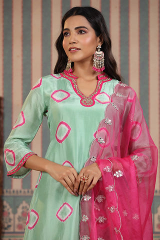 Mint Green Suit Set With Handwork