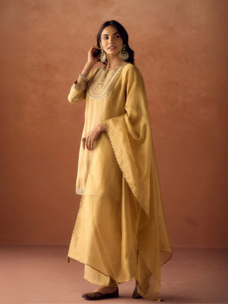 Yellow Tissue Blend Embroidered Suit Set with Organza Dupatta