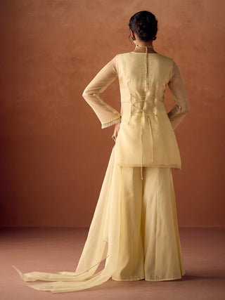 Pastel Yellow Organza Hand Embroidered A-Line Suit Set with Dupatta