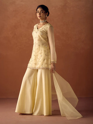 Pastel Yellow Organza Hand Embroidered A-Line Suit Set with Dupatta