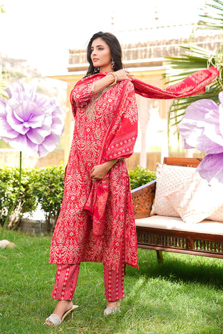 Red Silk Blend Ikat Print Straight Shape Suit Set with Dupatta