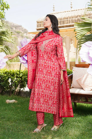 Red Silk Blend Ikat Print Straight Shape Suit Set with Dupatta