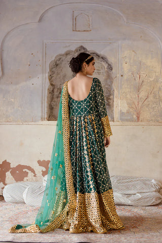 Green Georgette Embroidered Gown with Organza Dupatta