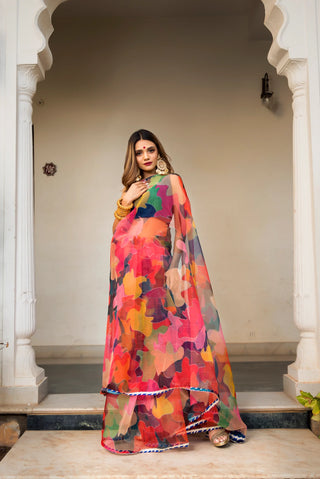 Organza Multi Color Saree with Taffeta Blouse - Ria Fashions