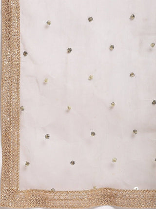 Dark Grey Velvet Kurta With Banarasi Palazzo and Sequin Net Dupatta - Ria Fashions