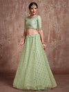 Pista Green Soft Net Embroidery Mirror Work Lehenga - Ria Fashions