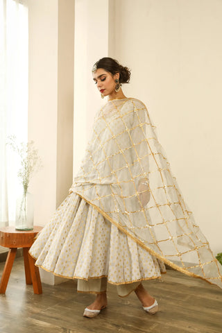 Copy of Georgette Light Grey Embroidered Anarkali Set with Cotton Pants and Chiffon Gottajaal Dupatta