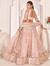 Light Pink Net Embroidered & Lace Detailing Lehenga Choli Set with Dupatta